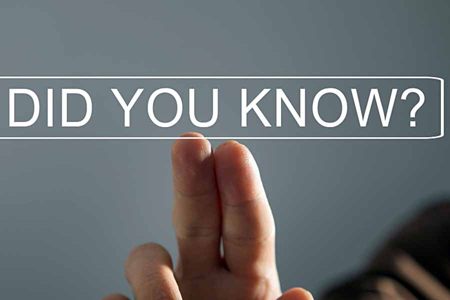 Trivia 01